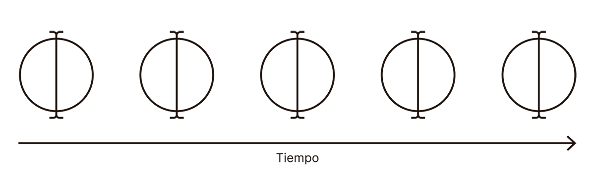 La imagen ilustra la rivalidad binocular en relación con las expectativas, mostrando una secuencia temporal en la que se observa una figura compuesta por un círculo y una línea vertical superpuesta. En el contexto de la rivalidad binocular, las expectativas del observador pueden influir en cómo se percibe cada imagen a lo largo del tiempo, alternando entre interpretaciones de la figura. La expectativa aquí es que el cerebro intente reconciliar las dos imágenes distintas en un todo coherente, aunque la percepción pueda oscilar debido a la rivalidad entre las imágenes presentadas a cada ojo.