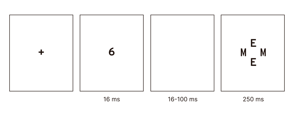La imagen ilustra el proceso de enmascaramiento de estímulos. En primer lugar, aparece una cruz de fijación que prepara al sujeto para el estímulo; luego, un número (en este caso, "6") es mostrado brevemente por 16 milisegundos, seguido de una pantalla en blanco que varía en duración (de 16 a 100 ms) y, finalmente, se presenta un patrón de letras ("E" y "M") durante 250 milisegundos que enmascara el estímulo previo. Este método se utiliza comúnmente en estudios de percepción para evaluar cómo la presentación de un estímulo interfiere o afecta el procesamiento del estímulo anterior.