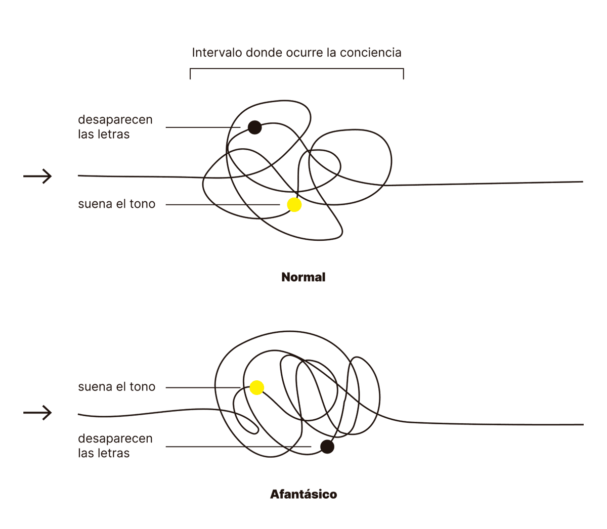 
La imagen representa el orden de eventos en el procesamiento de la conciencia en dos tipos de personas: aquellas con percepción "normal" y personas con afantasía. En el caso "normal", el evento de la desaparición de las letras ocurre antes del sonido del tono, mientras que en el caso afantásico, el sonido del tono antecede a la desaparición de las letras. Este cambio en el orden de los eventos sugiere una diferencia en la manera en que se experimenta la secuencia de eventos conscientes, ilustrado aquí mediante un nudo que representa el intervalo donde ocurre la conciencia.